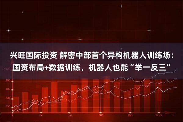 兴旺国际投资 解密中部首个异构机器人训练场：国资布局+数据训练，机器人也能“举一反三”