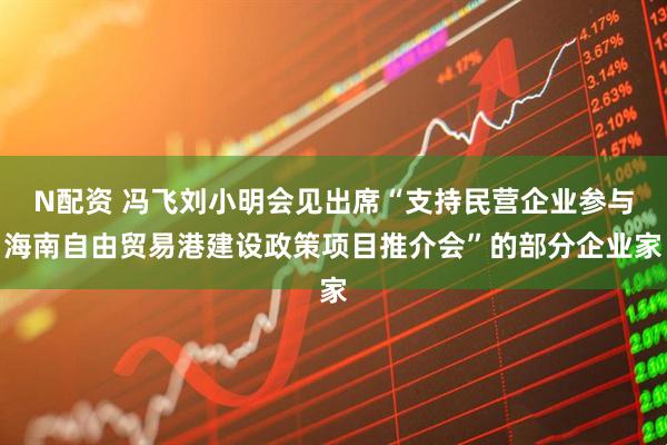 N配资 冯飞刘小明会见出席“支持民营企业参与海南自由贸易港建设政策项目推介会”的部分企业家