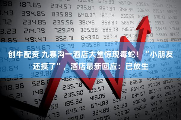 创牛配资 九寨沟一酒店大堂惊现毒蛇！“小朋友还摸了”，酒店最新回应：已放生