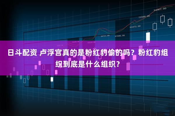 日斗配资 卢浮宫真的是粉红豹偷的吗？粉红豹组织到底是什么组织？