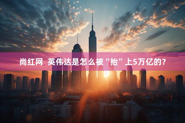 尚红网  英伟达是怎么被“抬”上5万亿的？